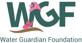 Water Guardian Foundation